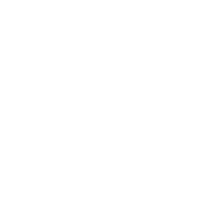 ELS Pulse-300 Health and Safety Icon